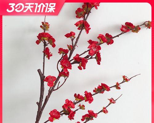 如何养护桃花枝条成为健康美丽的植物（八个方法帮助您成为优秀的花园爱好者）