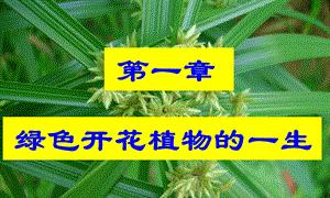 植物分类学的依据（以形态学、生态学和系统学为基础的分类方法）