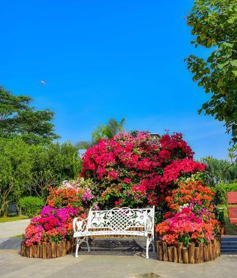 杜鹃花的寓意与文化意义（从传统习俗到现代文化，探析杜鹃花的多重象征）