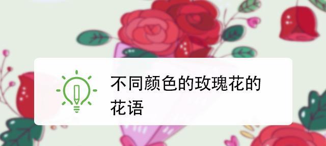 不同颜色玫瑰的花语（解读玫瑰花语，表达不同情感）