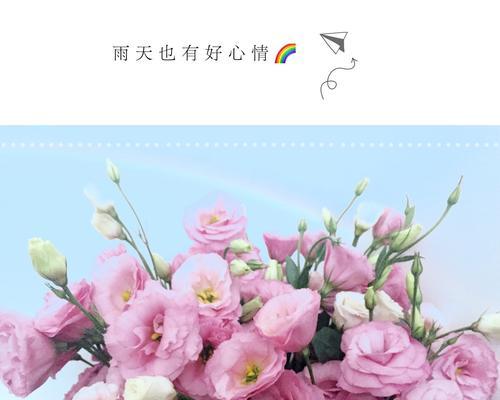 缤纷桔梗，解读不同颜色的花语（了解桔梗花语，愉悦心情）