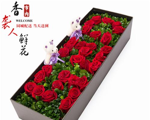 31朵玫瑰花代表什么？（传递不同的情感，解析玫瑰花的不同寓意）