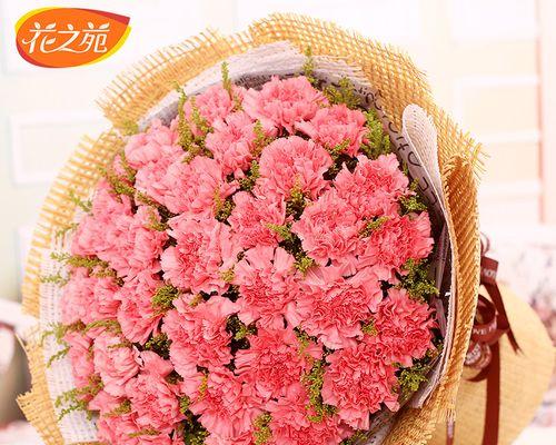 康乃馨花束的美丽寓意（一朵花，一份情，一生记忆）