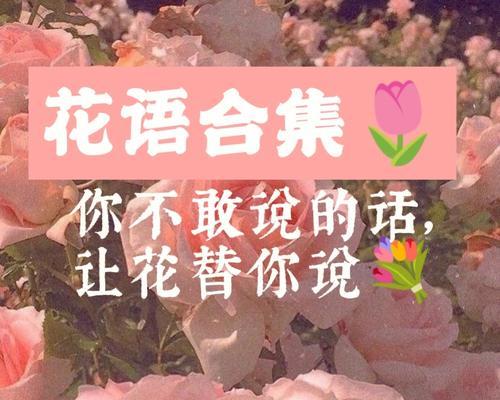 蓝桉的花语（蓝桉花语的深意与传承）