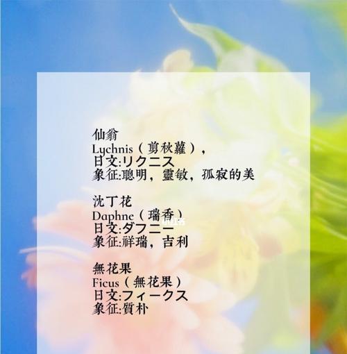 梅花的花语——坚韧与希望（梅花花语深意的解读与启示）