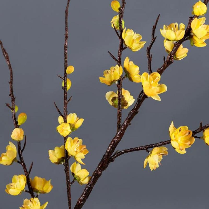 腊梅花（腊梅花花语及代表意义解析，勇往直前的力量和美丽的希望）