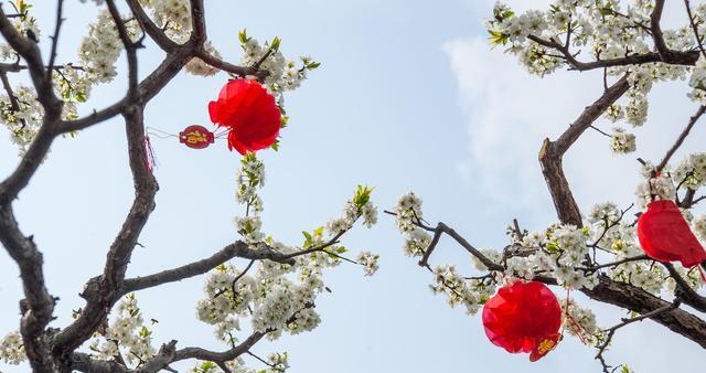 三月花开，满城春色（赏花指南，三月江南最美）