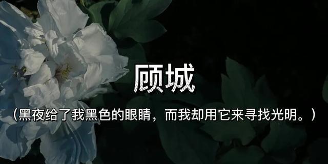 代表不放弃的花（顽强生存的花朵如何启迪人生）