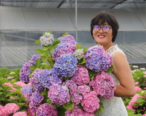 木本植物花卉有哪些（六大常见木本植物排名）