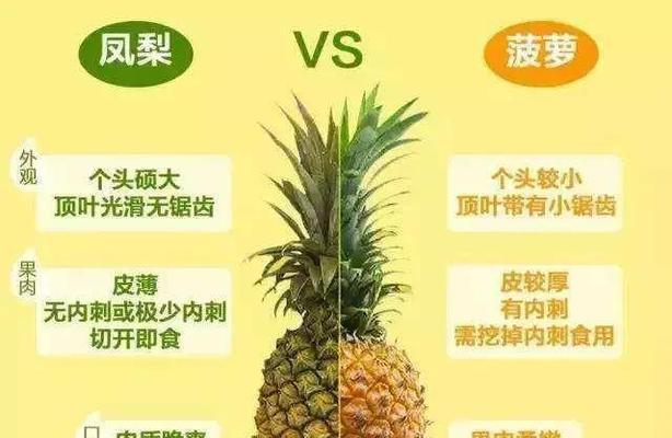 木菠萝熟了怎么看？——如何判断木菠萝是否熟透？