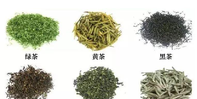 探寻藤条茶和古树茶的不同（了解这两种茶叶的区别与优劣）