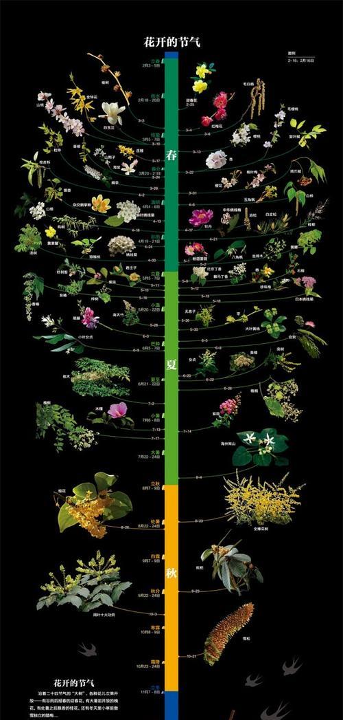 天麻种植的时间和生长周期（探究天麻的生长秘诀）