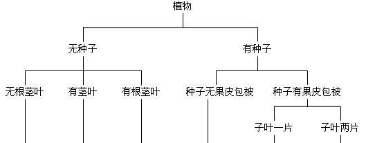 如何正确地分盆分株分株繁殖天门冬（掌握天门冬繁殖的诀窍）