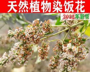 天然染料植物——发现自然色彩之美（探索自然）