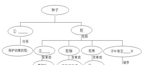 天堂鸟繁殖的方法与技巧（如何正确分盆分株繁殖天堂鸟）