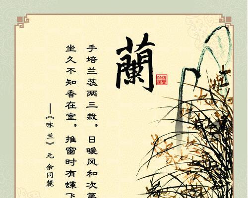 兰花花语及代表意义（纯洁高贵的兰花）