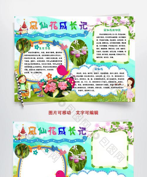 学会这些方法，让你轻松种出美丽的凤仙花（凤仙花种子种植步骤详解）