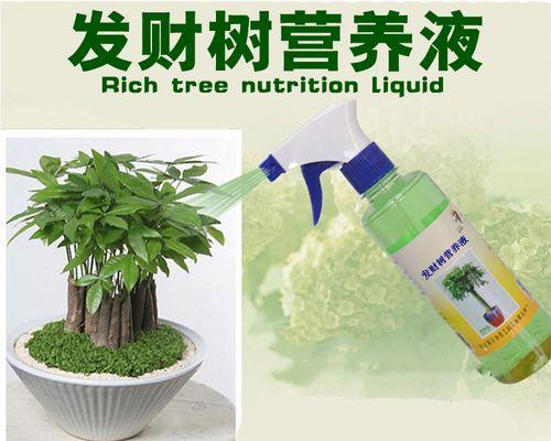 绿植的肥料选择（如何选择适合绿植生长的肥料）