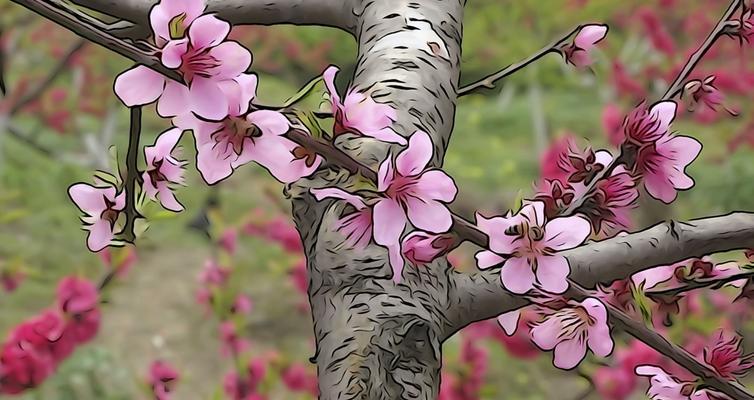 桃花的寓意与象征（桃花的美丽与幸福）