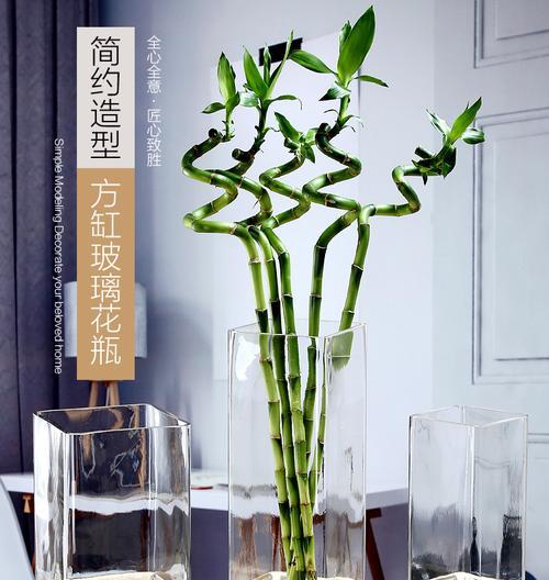 百合花与富贵竹的搭配（传递吉祥喜庆的美好寓意）