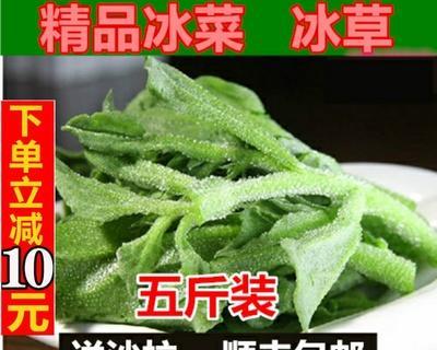 冰菜可以生吃吗？冰菜的食用方法是什么？