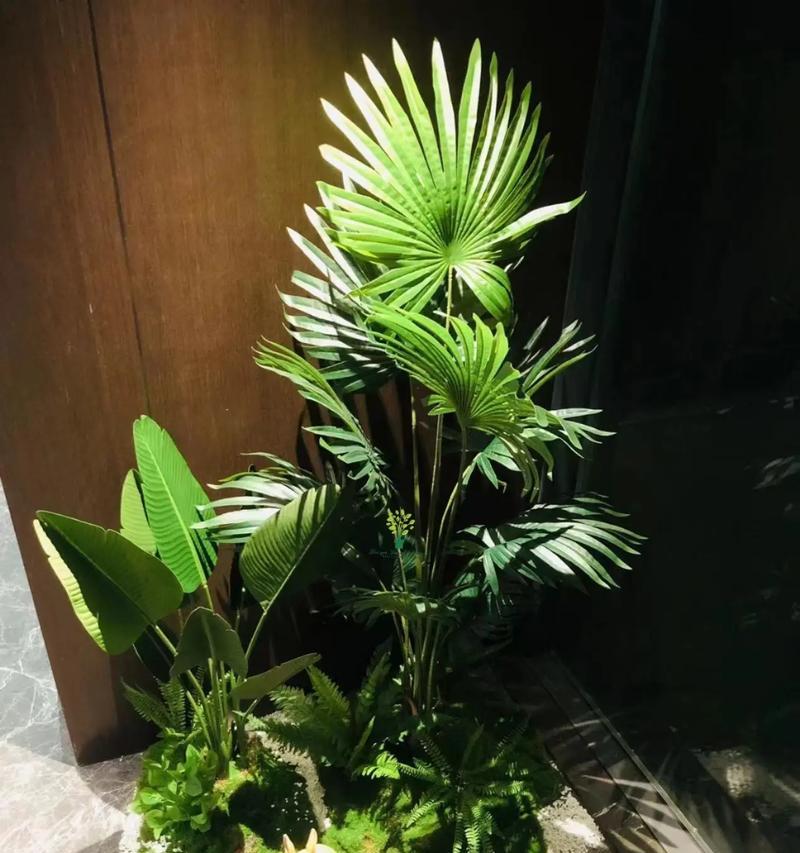 餐厅摆放什么植物好？适合餐厅摆放的植物有哪些？