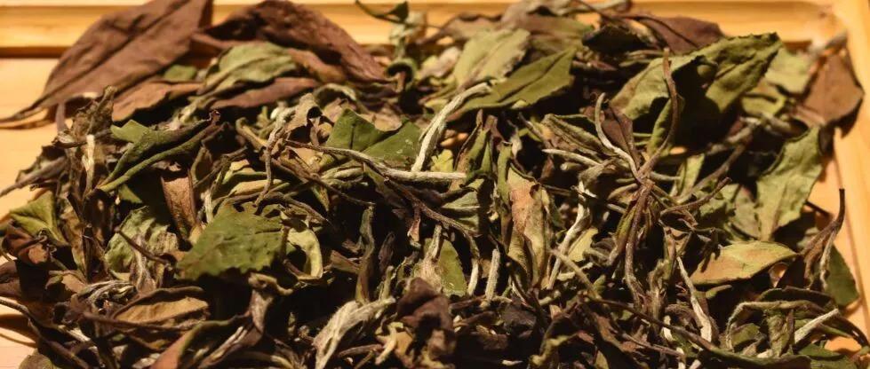 白露茶属于什么茶？白露茶的茶叶分类是什么？