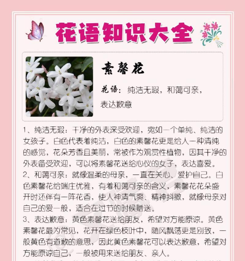 君子兰的花语是什么？君子兰的寓意是什么？