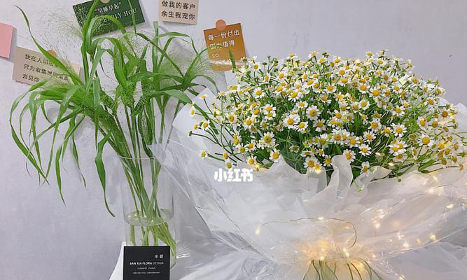 洋甘菊的浪漫花语是什么？洋甘菊有哪些寓意？