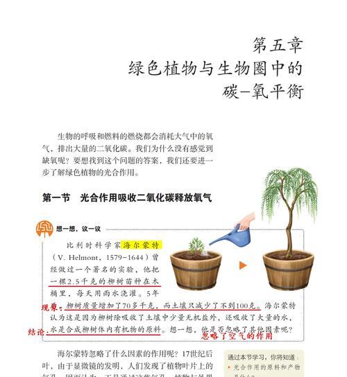 吸管花盆的施肥方法是什么？如何确保植物吸收良好？