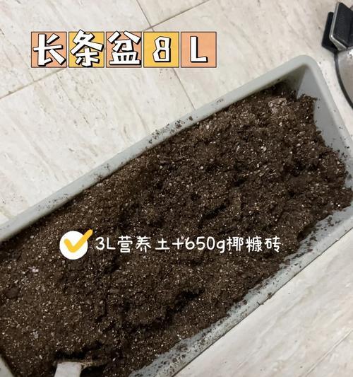 花盆里面的洞可以用纸巾堵住吗？这样做有什么影响？