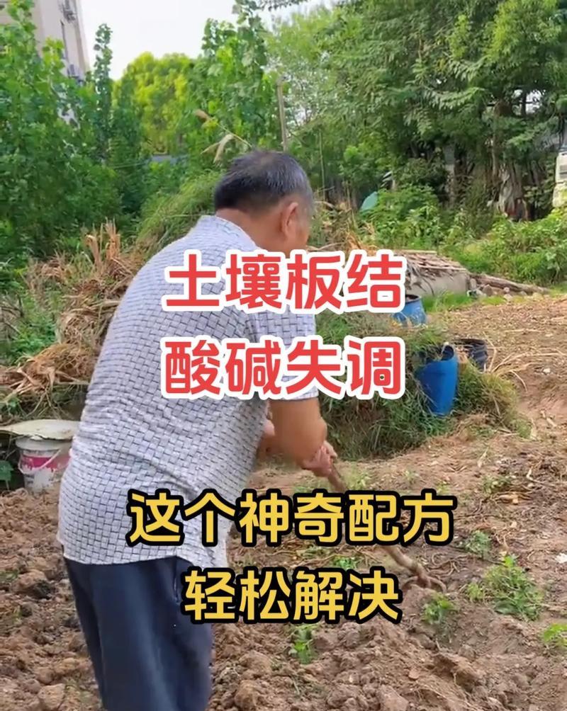 花盆里的土壤板结了怎么办？