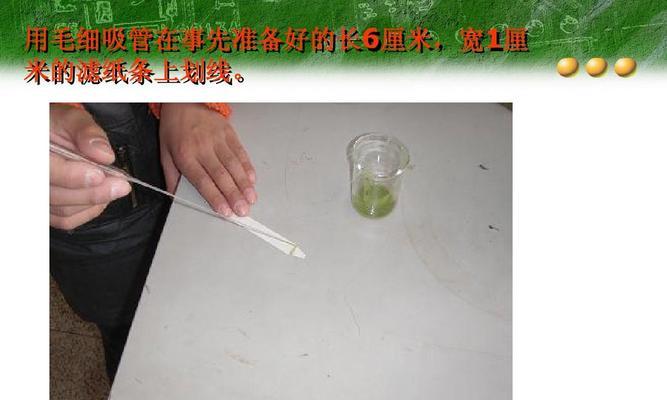 用吸管剪制花盆里的土需要注意什么？操作步骤是怎样的？