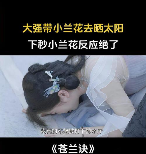 苍兰诀养小兰花的原因？养小兰花有哪些好处？