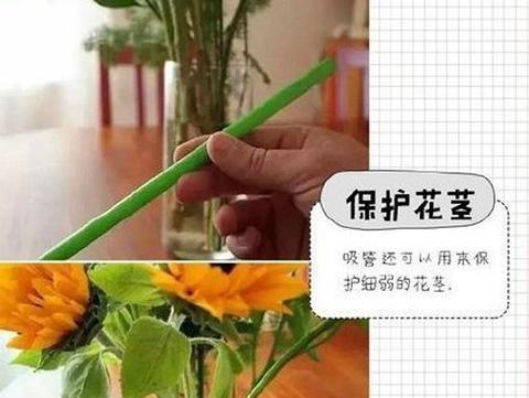 粗吸管如何制作成花盆？教程中有哪些要点？