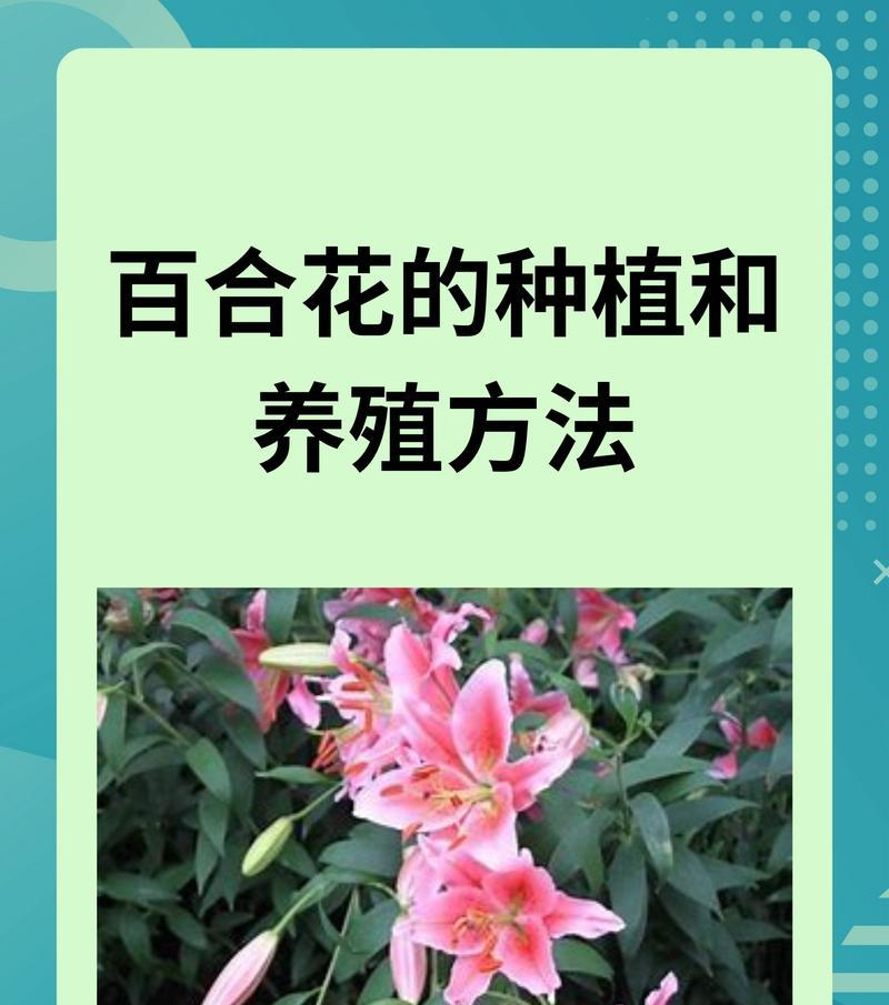 花盆土壤干燥变硬怎么办？如何保持土壤湿润？