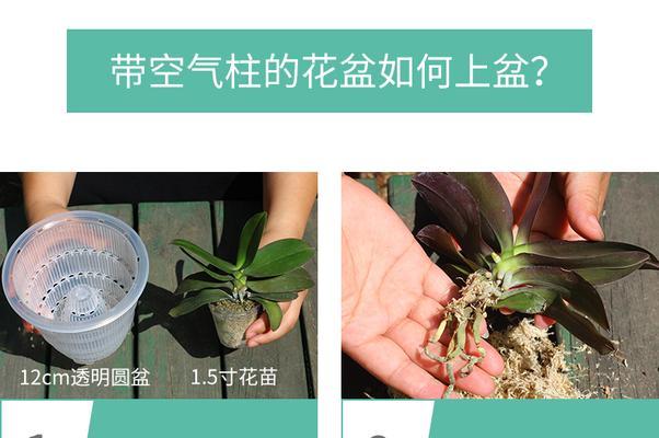 粘塑料花盆时选择胶水的技巧是什么？