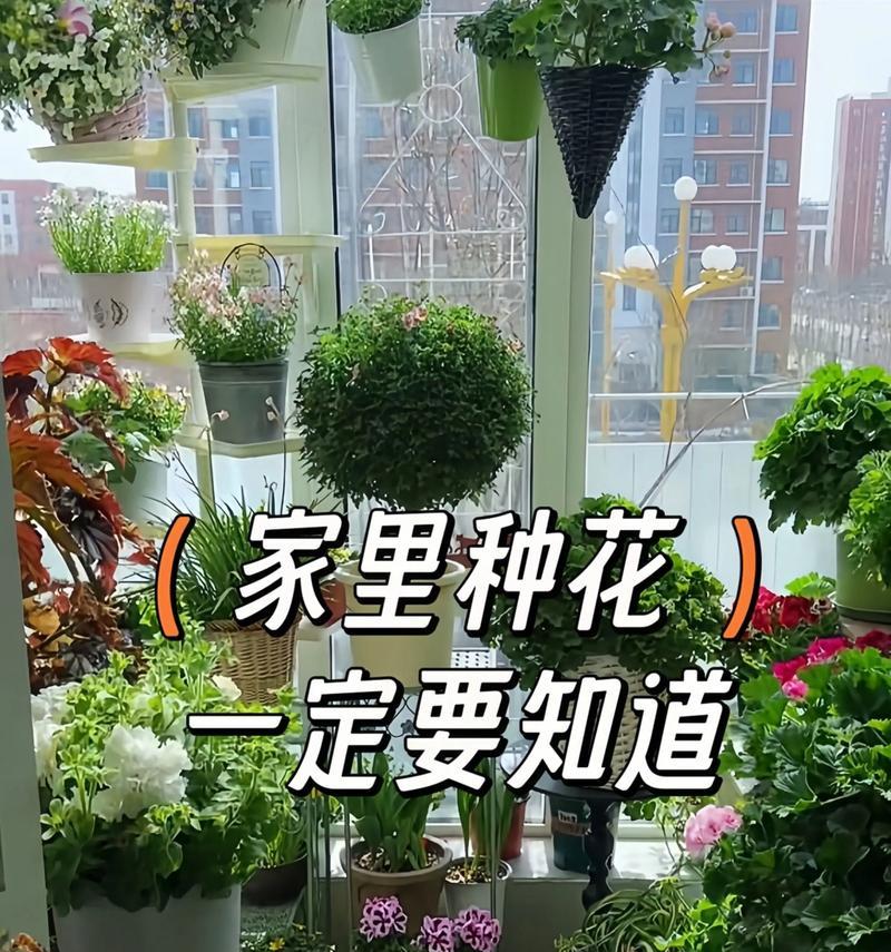 家庭小花坛种花有哪些技巧？