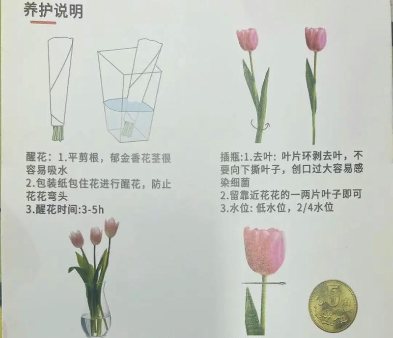 花盆不漏水水培实现方法是什么？