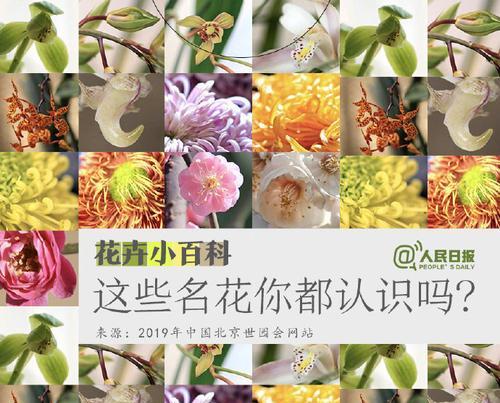 有哪些方法可以辨别花草？怎样快速识别花草品种？