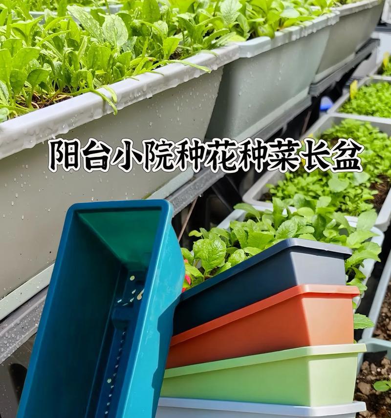 白色塑料长条花盆特点？使用注意事项？