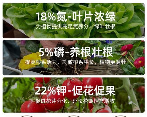 果树苗用什么肥料最好？如何根据树种选择合适的肥料？