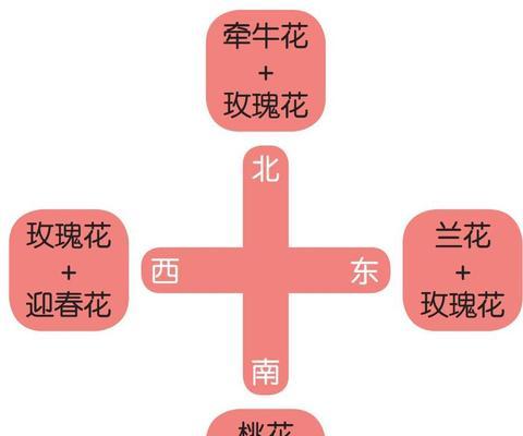 彩虹多肉叶插繁殖方法是什么？需要多长时间才能成功？