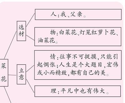 菜花的成熟周期是多久？生长期需要多长时间？