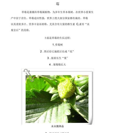 草莓发芽的过程是怎样的？发芽失败的原因有哪些？