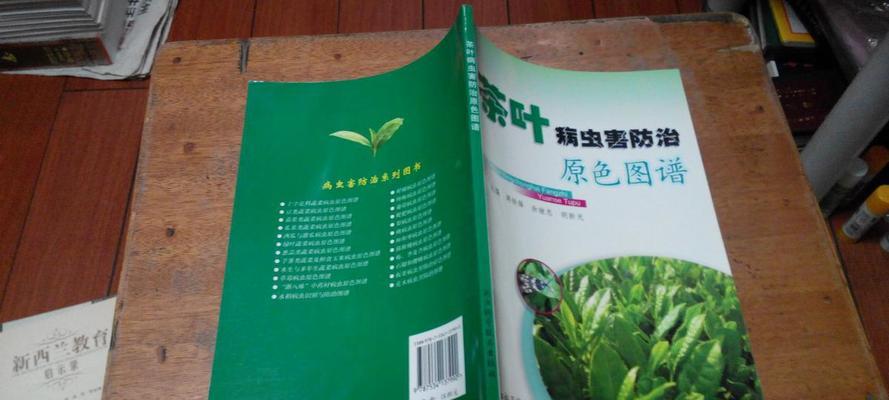 茶花病虫害如何防治？掌握有效技术与方法？