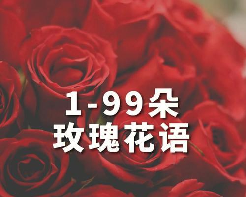 27朵玫瑰加两朵百合的花语是什么？图片展示其寓意。