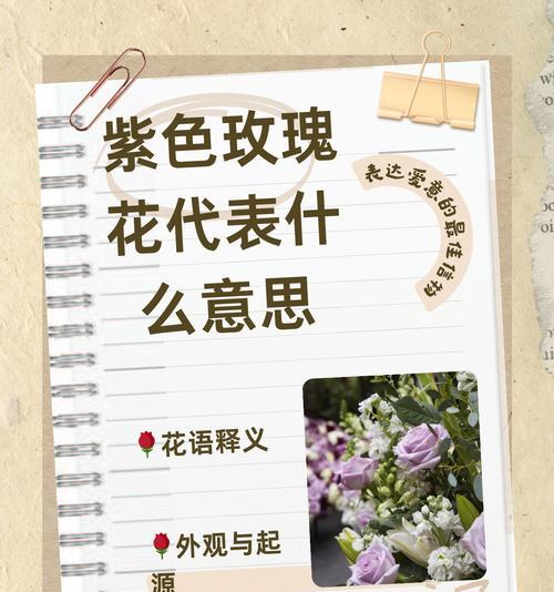 20朵粉玫瑰花的英文含义是什么？