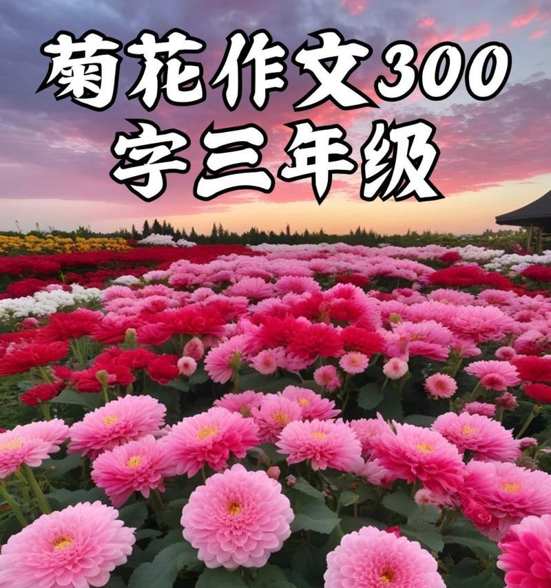 三年级学生如何用20字介绍菊花？