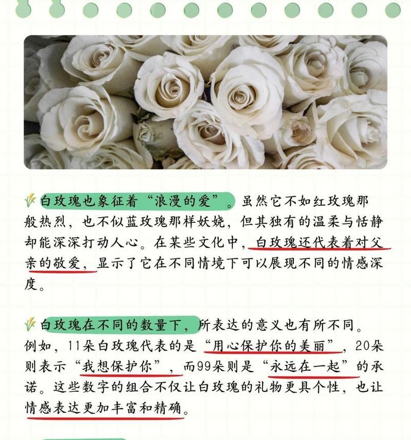 情人节送白玫瑰给女友合适吗？白玫瑰在情人节的意义是什么？